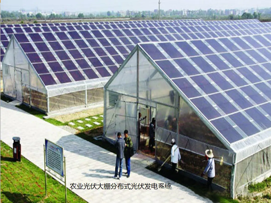 8f76d5dc8c2053ac58bbe0e0dbcc8745 太阳成(tyc122cc-VIP认证集团)-Official Platform